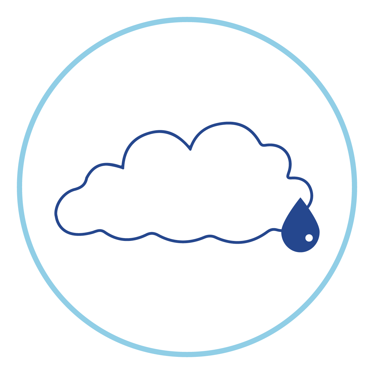 Cloud with a raindrop icon 